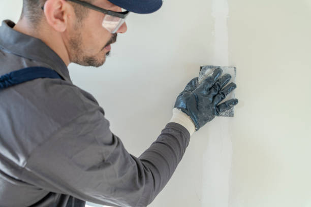 Best Drywall Removal and Disposal  in Clearlake Riviera, CA